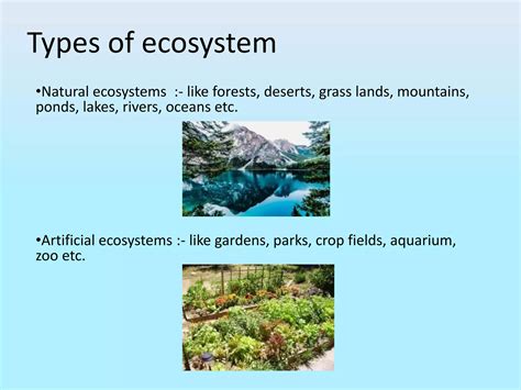 environment pptx