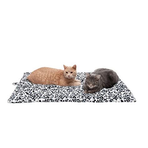 Uncover The Perfect Cat Bed Size For Your Feline Companion A Complete