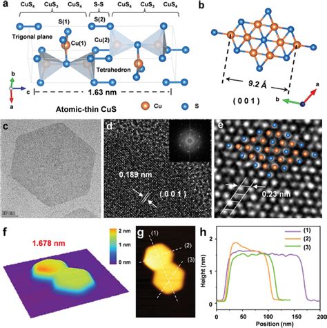 Characterizations Of At‐cus Ncs A Schematic Diagram Of Single Cell