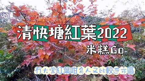 山糸 清快塘紅葉2022 無大棠紅葉咁多人 12122022 紅葉 元荃古道麥理浩徑 香港行山路缐 Youtube