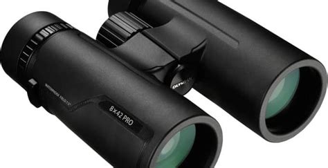 5 Best 8x42 Binocular Reviews Updated 2020 Gigoptix