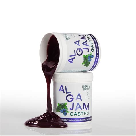 Альгинат-желе из арктической ламинарии с черникой ALGAJAM GASTRO , 500 г
