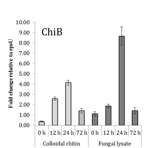 Differential Expression Of B Cereus Sensu Lato B25 Chia And Chib