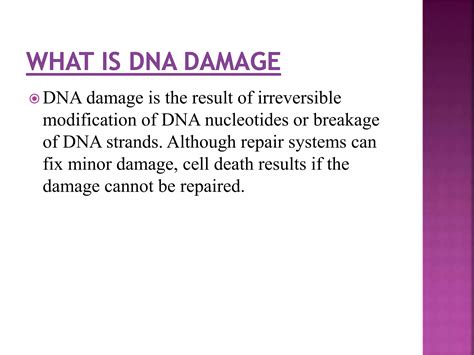 Dna Damage Types By Kk Sahu Ppt