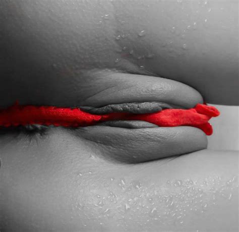 Gorgeous Pussies 20241206 134813 Porn Pic