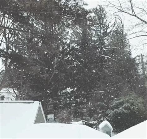 Snow falling across the dry trees + rooftops. | Dry tree, Hygge, Snowfall