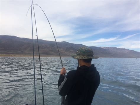 Pyramid lake fishing charters - Pyramid Lake Chrome Fishing Charters