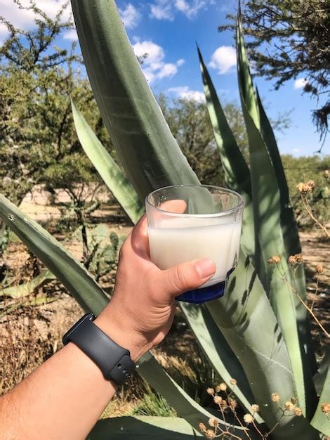 Premium Photo Sip The Essence Of Mexico With Pulque A Divine Maguey Drink