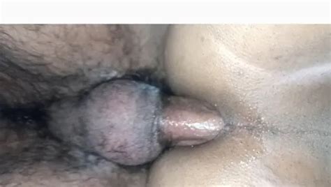 Desi Panda Gay Porn Creator Videos Free Sex XHamster