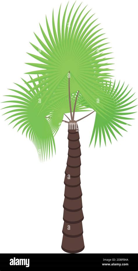 Palm Tree Island Icon Isometric Of Palm Tree Island Vector Icon For