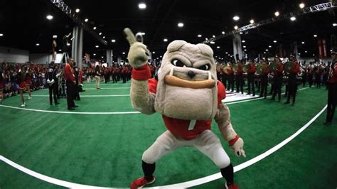 Sports Illustrated: Univ. of Georgia mascot is best ever | KTUL