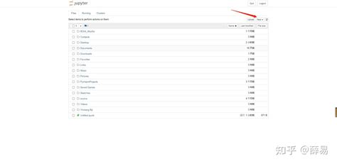 Jupyter Notebook 安装以及基础部分 知乎