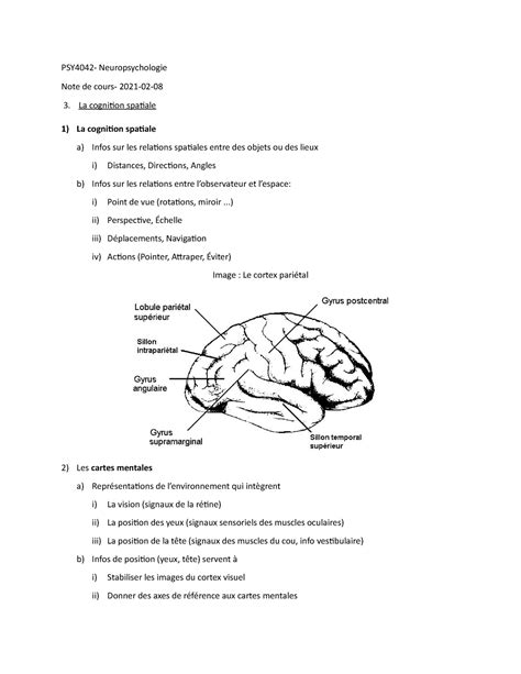 Cours Cognition Spatiale Psy Neuropsychologie Note De Cours