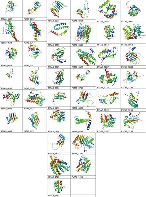 Modelled Protein Tertiary Structure Of Hypothetical Proteins Of