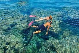 Snorkeling At Mahmya Island From Hurghada Viavii