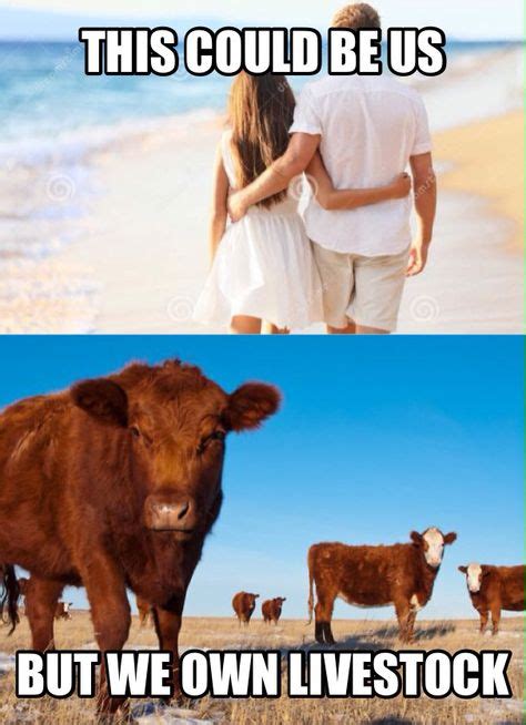 This Could Be Us But We Own Livestock Livestockmeme Countrymeme