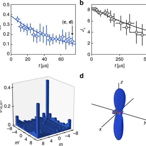 Dephasing Of Coherences A Evolution Of The Modulus Of The Extremal