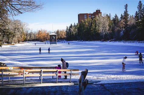 Skating At Bowness Park Everything You Need To Know