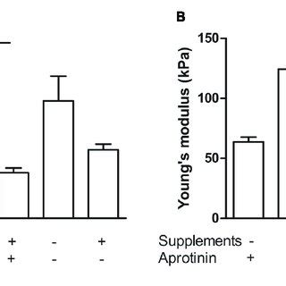 Visco Elastic Effects Of Collagen Deposition And Fibrinolysis