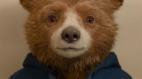 Paddington 3, guarda il trailer del film sequel | Esquire