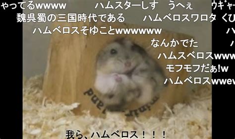 Hamster301 ニコニコニュース オリジナル