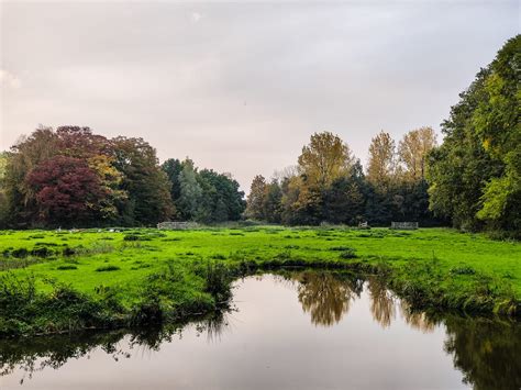 Herfst In Woerden Dit Is Waarom De Blaadjes Van De Bomen Vallen