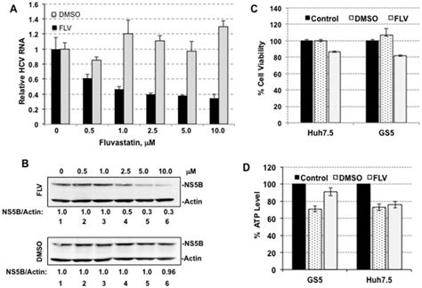 A Real Time Rt Pcr For Detection Of The Hcv Rna In Dmso Control