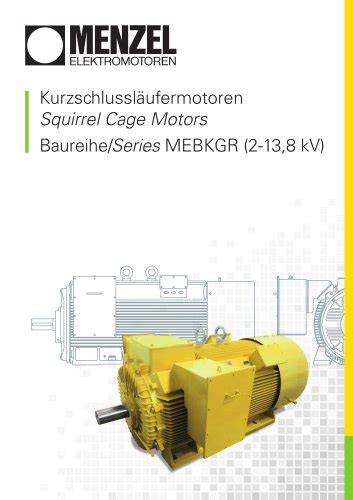 Alle Kataloge und technischen Broschüren von MENZEL Elektromotoren GmbH