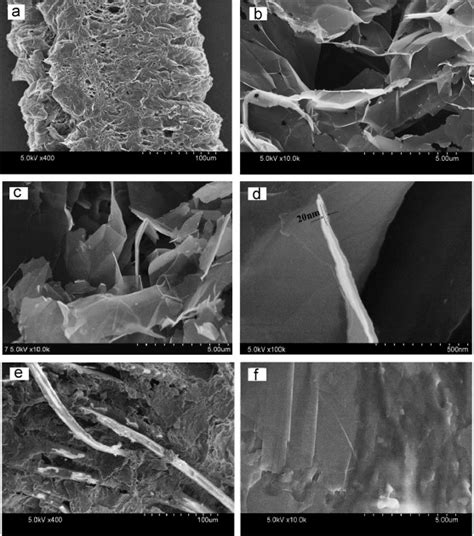 Fesem Images Of Expanded Graphite Eg After Microwave Irradiation