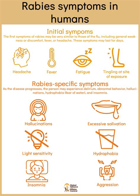 Humans With Rabies Symptoms