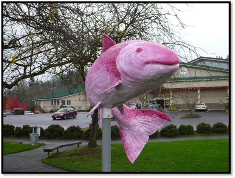 Salmon Sculptures — Partnership For The Umpqua Rivers