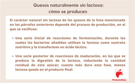 Quesos sin lactosa qué son cuáles son y lista de alimentos para