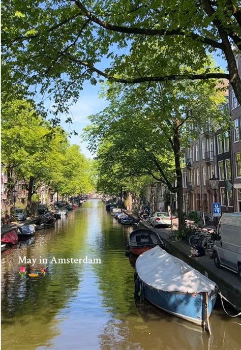 Discover Amsterdams Must See Spots In May Tiktok