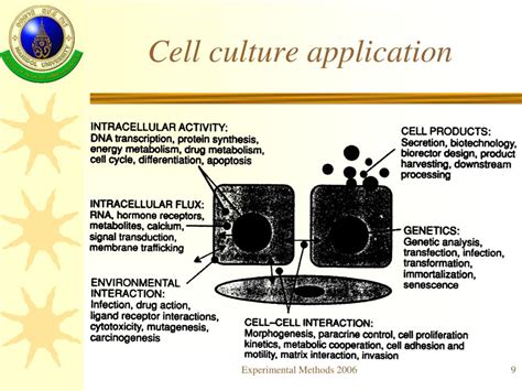 Ppt Introduction To Tissue Culture Powerpoint Presentation Free