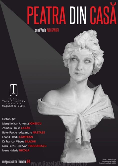 Peatra din casă un spectacol de Corneliu Jipa la Teatrul Tony