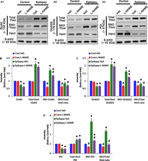 Frontiers PDI Knockdown Inhibits Seizure Activity In Acute Seizure