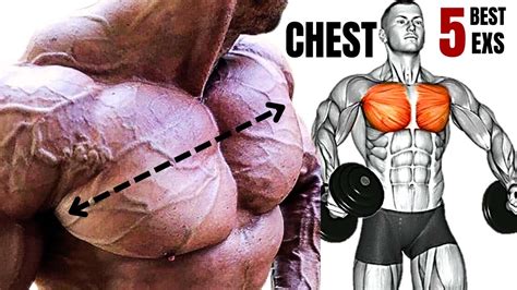 Inner Lower And Upper Chest Workout At Gym Meilleurs Exs