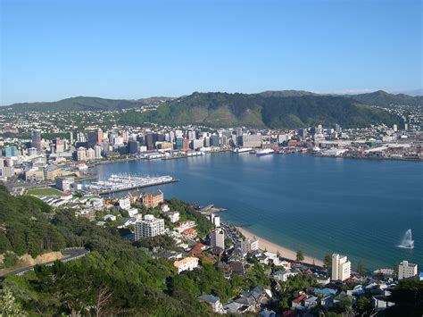 Wellington From Mount Victoria Summit John Steedman Flickr