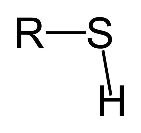 Phosphoryl Functional Group