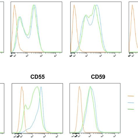 Figure S1 Flow Cytometry Analysis Of Cell Surface Gpi Aps Of Download Scientific Diagram