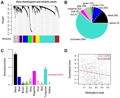 Results Of Weighted Gene Co Expression Network Analysis A Module