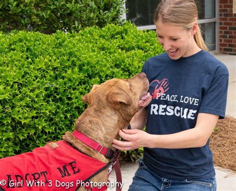 Helping Animals In Need Through T-Shirt Fundraisers | Bonfire Stories