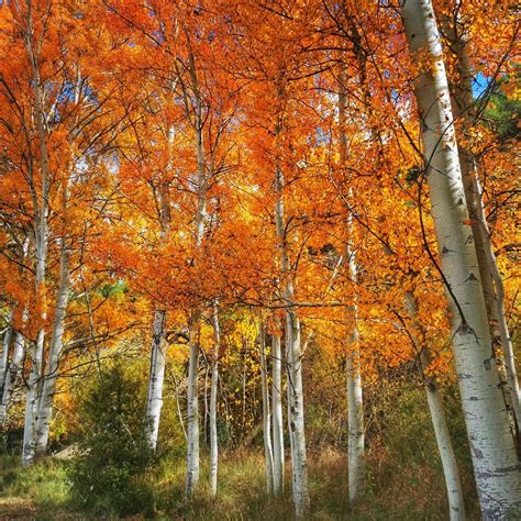 Впечатляющие снимки от Угера Фуэте Санса - Zefirka