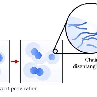 Pectin: from powder form to gelation-mechanism of pectin dissolution in ...