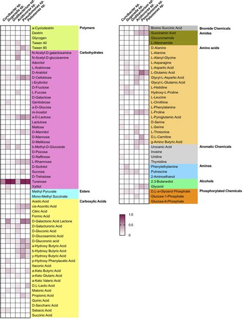 Substrate Utilization Pattern Of Six Bacterial Isolates From The