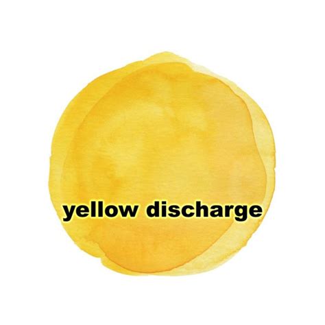 Yellow Discharge | causes, types, anatomy, images