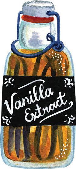 Vanilla Extract Bottle Stock Vector Illustration And Royalty Free