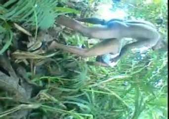 Highlands Koap Baksait Lo Kar Mature Mature Porn XHamster