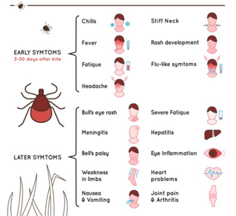 How To Get Lyme Disease Test