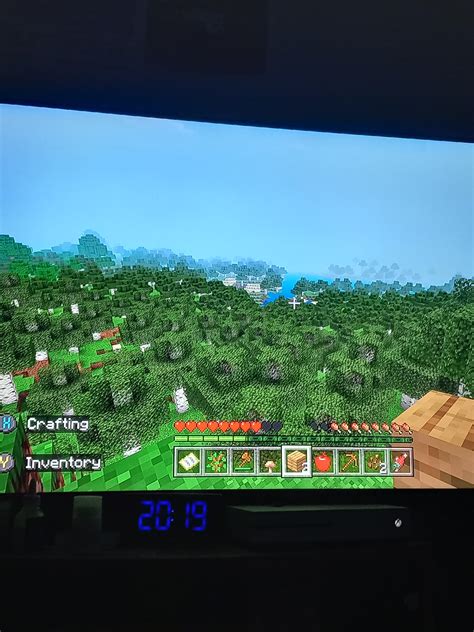 Birch wood biome? : r/Minecraft